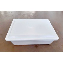 Cassetta in plastica rettangolare per alimenti di colore bianco.