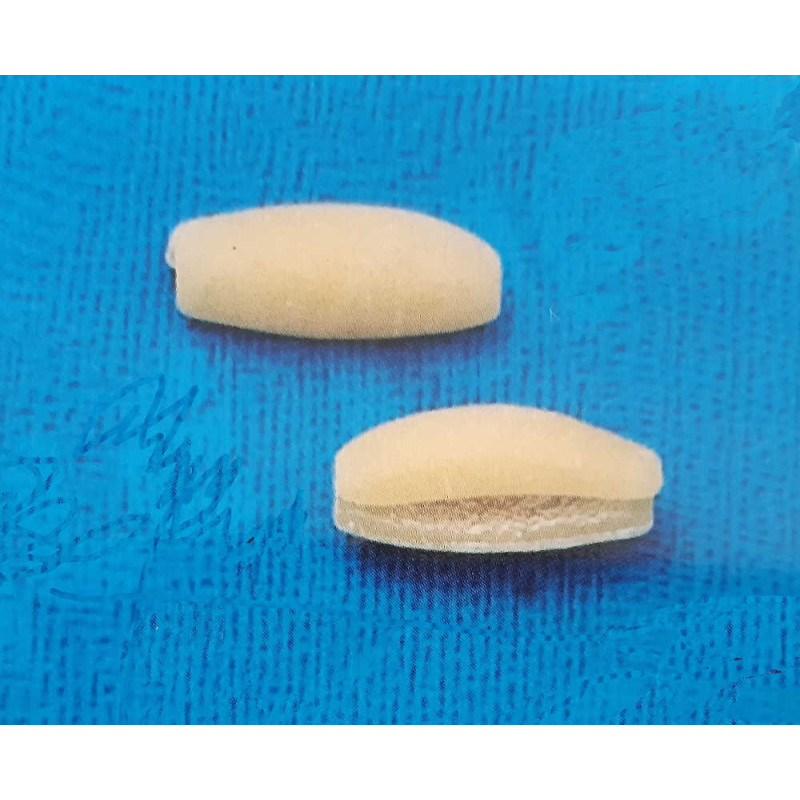 Trafila per la macchina della pasta La Parmigiana D35 o D45 cavatello